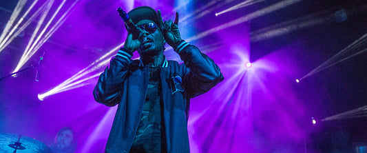 Del the Funky Homosapien